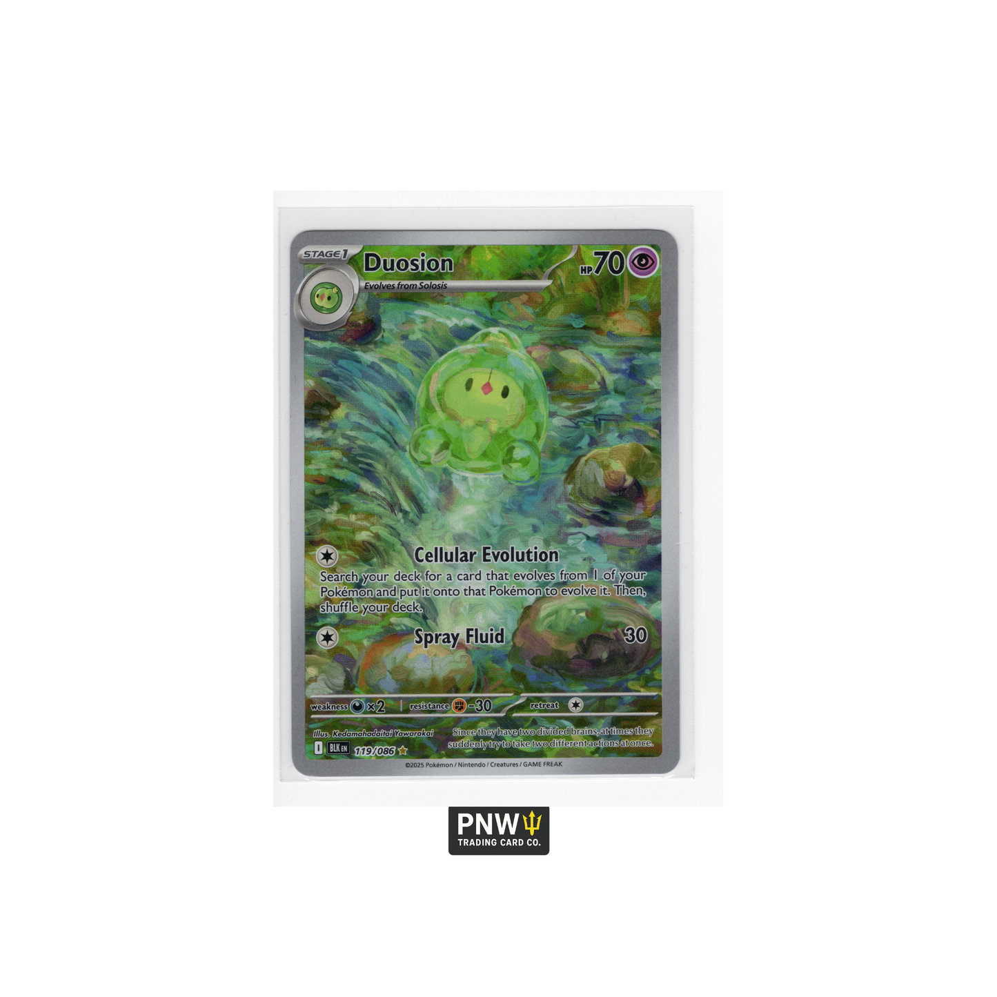 2025 Pokémon TCG Duosion Secret Rare 119/086 BLK EN – Illustration Art Holo