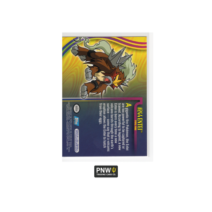 Topps Pokémon Legendary Beasts 2 Card Lot Entei 244 Suicune 245 TV Animation Ed.