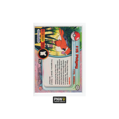 Topps Pokémon TV Animation Edition 4 Card Lot Umbreon, Clefable, Nidoking, Pidgey